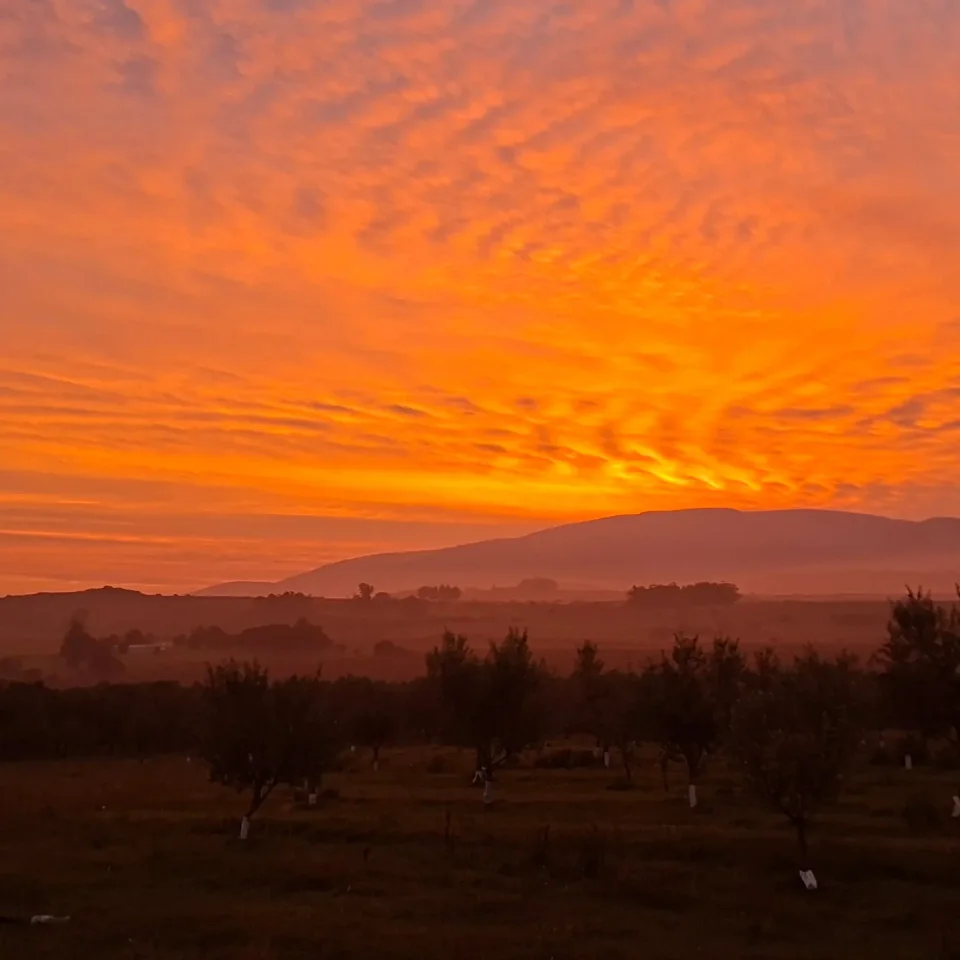 Atardecer sobre el olivar y las Sierras de las Ánimas