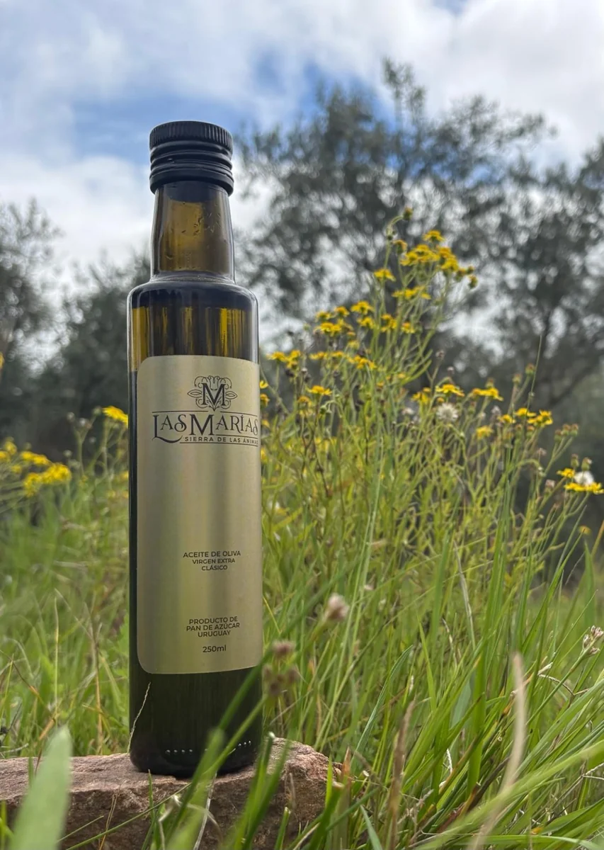 Botella de aceite de oliva Clásico de 250 ml entre flores y olivos de Las Marías