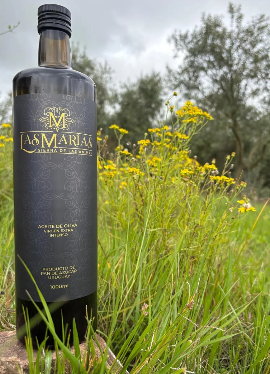 Botella de aceite de oliva Intenso de 1000 ml entre flores y olivos de Las Marías