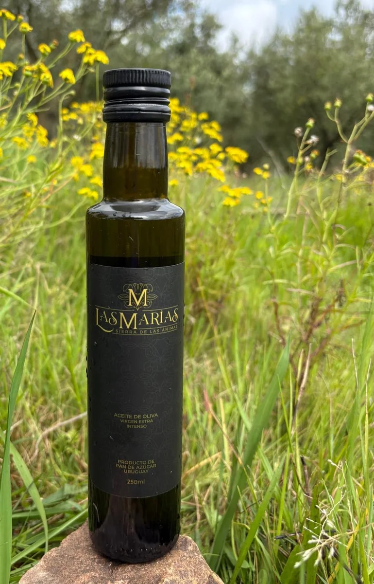 Botella de aceite de oliva Intenso de 250 ml entre flores y olivos de Las Marías
